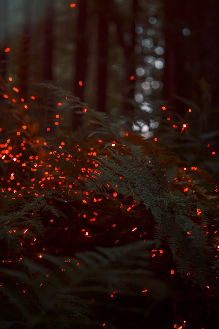 Glowing firefly forest at night, nature and light